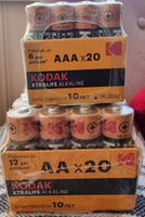 Батарейки Kodak LR6-20 bulk XTRALIFE Alkaline (20/360/21600) #28, Александр