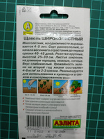 ЩАВЕЛЬ Широколистный. Семена. Вес 0,5 гр. Многолетник, на одном месте выращивается 4-5 лет. Аэлита #43, Юрий Ф.