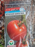 Томат Красная шапочка раннеспелый Сибирский Сад 20 шт. - 2 упаковки #26, Елена Г.