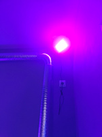 Ультрафиолетовый прожектор UV LED Flood Light УФ лампа , 395-400 нм 100w 220в. #5, Михаил И.