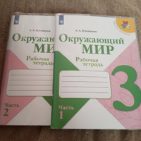 Окружающий мир 3 класс Комплект Рабочая тетрадь В 2-х частях #1, Раксана С.