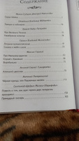 Сказки русских писателей (с ил.). Внеклассное чтение #1, Надежда З.