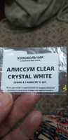 Алиссум Clear Crystal White семена 10 шт. #22, Татьяна М.