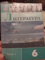 Комплект Литература 6 класс Учебник 1 и 2 часть #4, Наталья О.