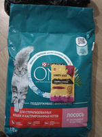 Сухой корм Purina One для кастрированных котов и стерилизованных кошек с лососем, 9,75 кг. #37, Любовь Н.