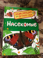 Насекомые. Энциклопедия для детского сада. Познавательные факты о бабочках, жуках и пчелах для детей от 4-5 лет | Клюшник Л. В. #3, Анастасия Г.