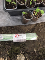 Опоры Садовые 12 мм, 10 штук по 2,0 м композитные для подвязки растений (колышки) #6, vera п.