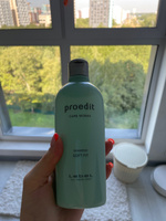 Lebel Proedit Care Works Shampoo Soft Fit Шампунь для жестких и непослушных волос, 300 мл #4, Елена С.