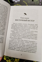 Трэверс П. Мэри Поппинс. Внеклассное чтение 1-5 классы. Классика для детей. Перевод Б. Заходера. Иллюстрациии В.Челака | Трэверс Памела Линдон #5, Екатерина Б.