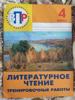 ВПР. Литературное чтение. 4 класс. Тренировочные работы #5, Елена Р.