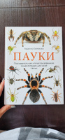 Пауки. Познавательная иллюстрированная энциклопедия для всей семьи | Семенова Людмила Семеновна #4, Александра А.