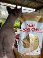 Сухой корм для кошек породы сфинкс Royal Canin Sphynx Adult, с птицей, 2 кг #17, Анастасия К.