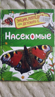 Насекомые. Энциклопедия для детского сада. Познавательные факты о бабочках, жуках и пчелах для детей от 4-5 лет | Клюшник Л. В. #5, Лариса С.