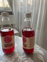 Комбуча чайный гриб Absolute Nature "KOMBUCHA-ENERGY" без сахара с клюквой, мятой и брусникой 350 мл. 12 шт. #1, надежда р.