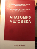 Анатомия человека. Привес М.Г. | Привес Михаил Григорьевич, Лысенков Николай Константинович #11, Вероника К.