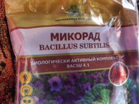 Микорад Инсекто 1.2 (Боверин), БАК c грибом Beauveria bassiana, 2 упаковки по 50 г #3, Чертова Ольга