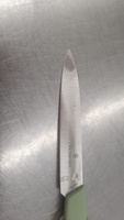 Швейцарский нож Victorinox для овощей и фруктов лезвие 10 см 6.9006.1042 #7, Максим С.