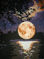 Картина по номерам 40х50 на холсте с подрамником "Лунная ночь" #64, Татьяна Н.