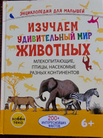 Удивительный мир животных. Энциклопедия для детей от 6 лет #1, Белова Анна