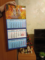 Календарь, Календари Shop, Собачки, 2024, настенный, размер 71*29,5 см. #8, Юра Волков