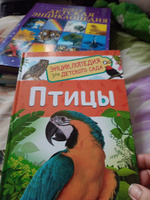 Птицы. Энциклопедия для детского сада для детей от 4-5 лет | Гальцева Светлана Николаевна #6, Юлия Н.