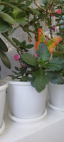 ТероПром Горшок для цветов, Афина, 15.5 см х 17.5 см х 17.5 см, 2.2 л, 1 шт #3, Елена Ш.