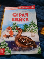 Сказки для малышей, Буква Ленд, "Учимся читать", читаем по слогам, набор 6 шт | Мамин-Сибиряк Д. #7, Ильмира М.