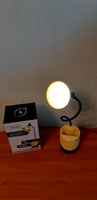 Лампа настольная светодиодная для школьника светильник аккумуляторный для дома освещение в детскую ночник #32, Ольга Р.