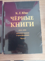 Черные книги. 2 части #1, Александр Ф.