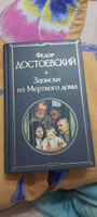 Записки из Мертвого дома | Достоевский Федор Михайлович #2, Инна Н.