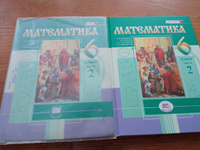 Виленкин Н.Я. и др. Математика. 6 класс. Учебное пособие. Комплект из 2-х частей | Жохов Владимир Иванович, Шварцбурд С. И. #3, Ольга С.