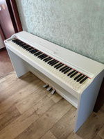 Цифровое пианино PrimaVera MI-200 WH #1, Ильнур С.