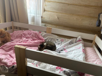 Кровать детская с бортиком 160х80, "Ева", БазисВуд #1, Эльвира К.