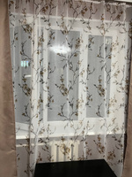 Curtain & Textile Тюль высота 250 см, ширина 500 см, крепление - Лента, Белый,светло-коричневый #43, Надежда К.