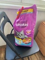 Whiskas корм для взрослых стерилизованных кошек всех пород, подушечки с курицей 5 кг #66, Алиса