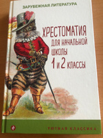 Хрестоматия для начальной школы. 1 и 2 классы. Зарубежная литература #5, Ирина В.