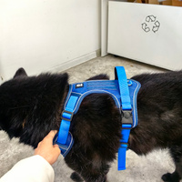 Шлейка для собаки, с подкладкой и светоотражающими полосками, размер XL, обхват груди 68-93 см, синий #4, Лилия Т.