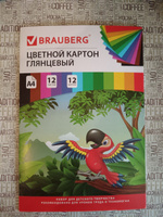 Картон цветной формата А4 для творчества / оформления А4 мелованный глянцевый, 12 листов 12 цветов, в папке, Brauberg, 200х290 мм, Килиманджаро #27, дарина к.