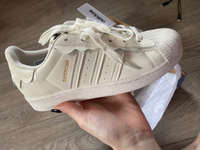 Кроссовки adidas Originals Superstar #36, АЛИНА Ю.