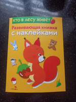 Кто в лесу живет. Развивающая книжка с наклейками | Шарикова Е. #1, Ольга Г.