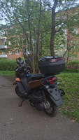 Мотокорф 48 л./ Кофр багажник для мотоцикла, скутера с пластиной для крепления водонепроницаемый, герметичный, с защитой от краж, с сигнальными огнями #1, Анна И.