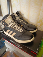 Кеды adidas Sportswear Hoops 3.0 Mid Wtr #80, Матвей Л.