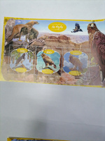Набор марок #67 птицы Попугаи и Совы 12 блоков #5, Сергей С.
