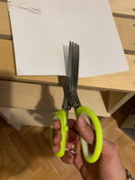Кухонные ножницы 5 лезвий для зелени / универсальные многослойные ножницы из нержавеющей стали для нарезки зелени в салат / ножницы для бумаги #1, Дарья А.