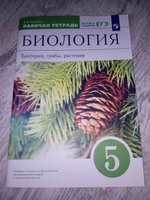 Биология. 5 класс. Рабочая тетрадь. Бактерии, грибы, растения #2, Светлана Б.