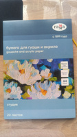 Бумага для гуаши и акрила Гамма Студия 20 листов, А4, 180 г/м2 #20, Дарья