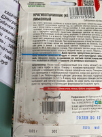 Красивотычинник Лимонный, 1 пакет, семена 0,1г, комнатное, многолетник, Чк #26, Елена Б.