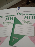 Набор рабочих тетрадей Русский язык, Математика, Окружающий мир 3 класс. Комплект из 6 штук. УМК "Школа России". ФГОС | Канакина Валентина Павловна, Моро Мария Игнатьевна #40, Надежда М.