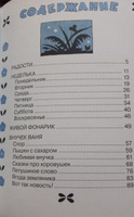 Живой фонарик. Рисунки Э. Булатова и О. Васильева | Воронкова Любовь Федоровна #4, Василий Василий