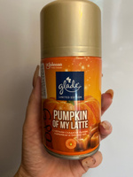 Glade сменный баллон Pumpkin Of my Latte, 269 мл #28, Камилла К.